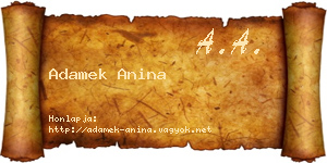 Adamek Anina névjegykártya
